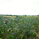 Country house Su Passu *