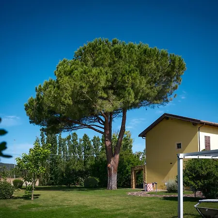 Su Passu