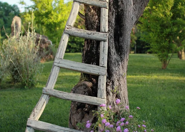 Su Passu Casa rural Fertilia