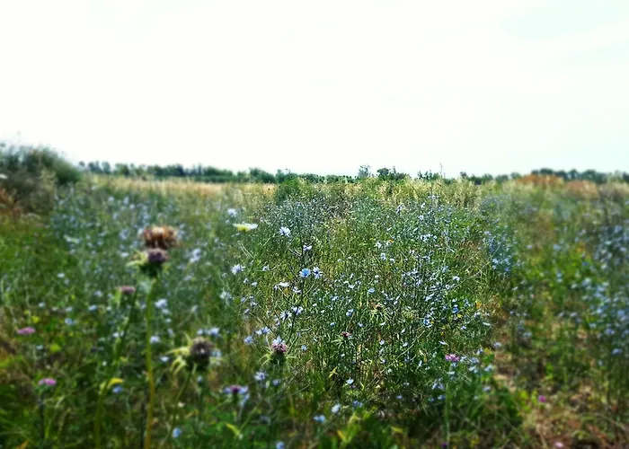Casa rural Su Passu *